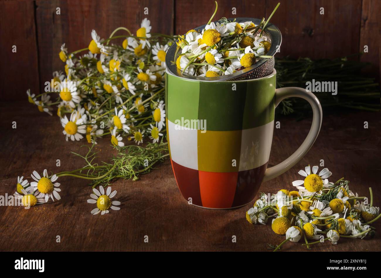 Schüssel mit gerupften Gänseblümchen und einem Haufen Gänseblümchen Stockfoto
