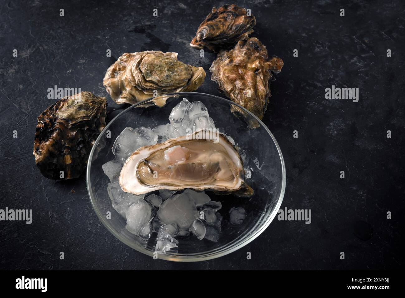 Öffnen Sie Auster auf zerkleinertem Eis auf einer Glasplatte und geschlossene Austern auf einem dunklen rustikalen Hintergrund, Kopierraum, Draufsicht von oben ausgewählter Fokus Stockfoto