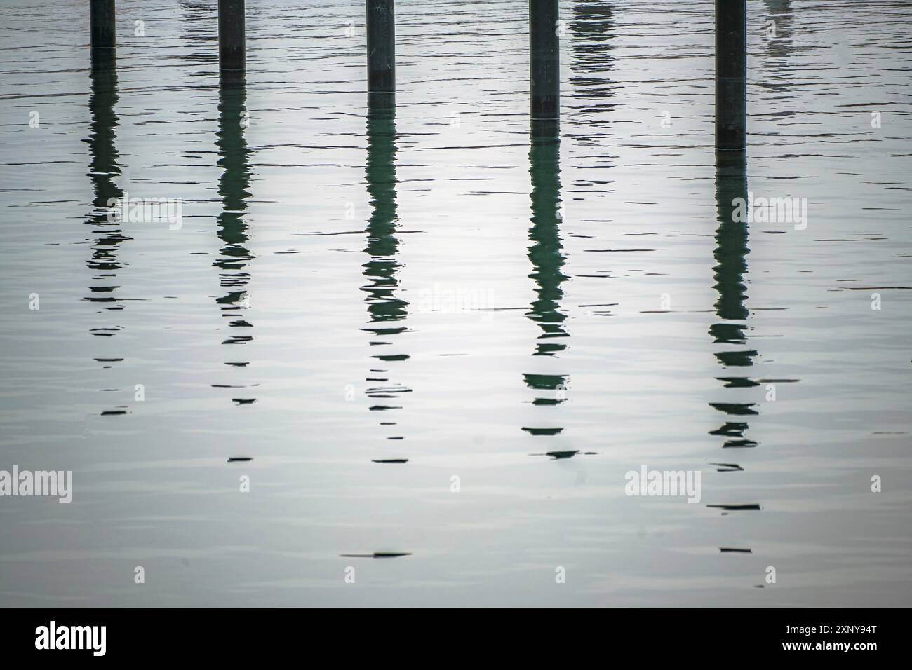 Schwarze Anlegestapel oder Delfine mit Reflexion im Wasser in einem leeren Yachthafen an der Ostsee an einem grauen Novembertag, abstraktes Bild Stockfoto
