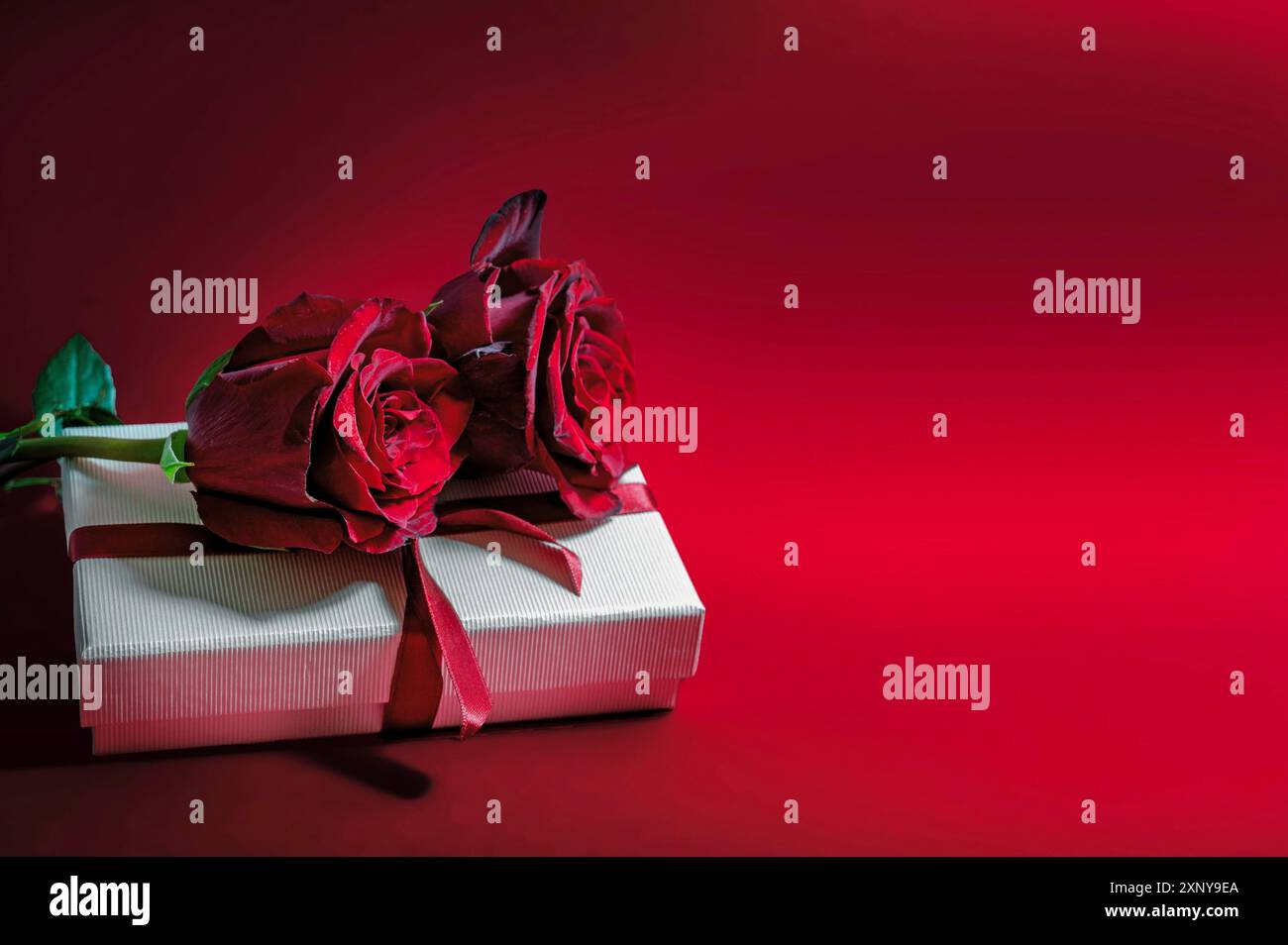 Zwei dunkelrote Rosen auf einer weißen Geschenkbox für Valentinstag oder Muttertag, Weihnachtsliebesymbol, roter Hintergrund mit Kopierraum, ausgewählter Fokus, schmal Stockfoto