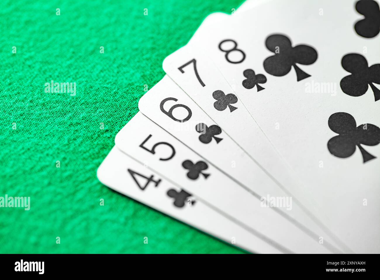 Straight Flush von vier Clubs zu acht Pokerhand Spielkarten auf grünem Tuch Stockfoto