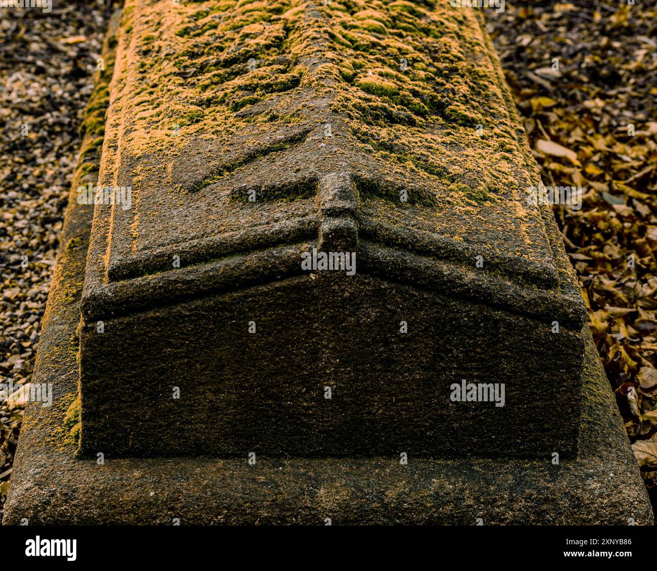 Ein detaillierter Blick auf einen moosbedeckten Steinsarg auf einem Friedhof mit Textur und einer veralteten, unheimlichen Atmosphäre Stockfoto