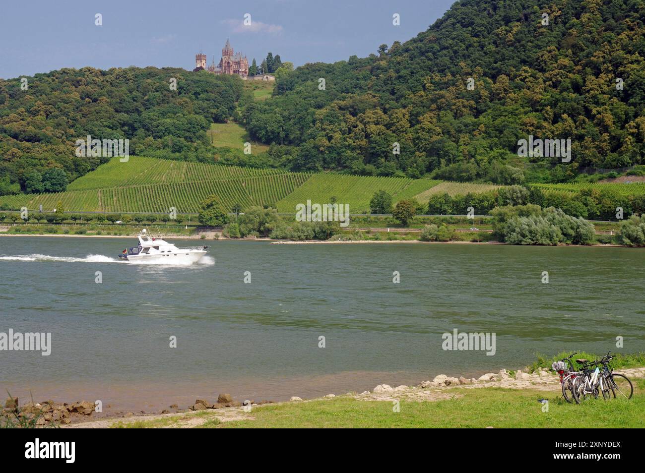 Ein Motorboot auf einem Fluss, umgeben von Weinbergen und einer Burg auf dem Hügel, Radtourismus, Rhein, Andernach, Rheinland-Pfalz, Deutschland Stockfoto