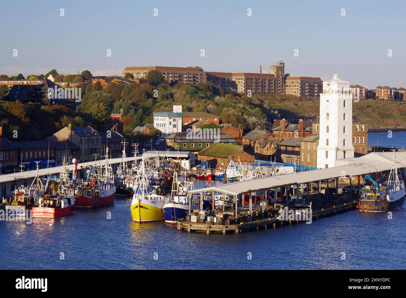 Blick auf den Hafen mit Fischerbooten und städtischen Gebäuden auf einem Hügel in der Abenddämmerung, Tynemouth, England, Großbritannien Stockfoto