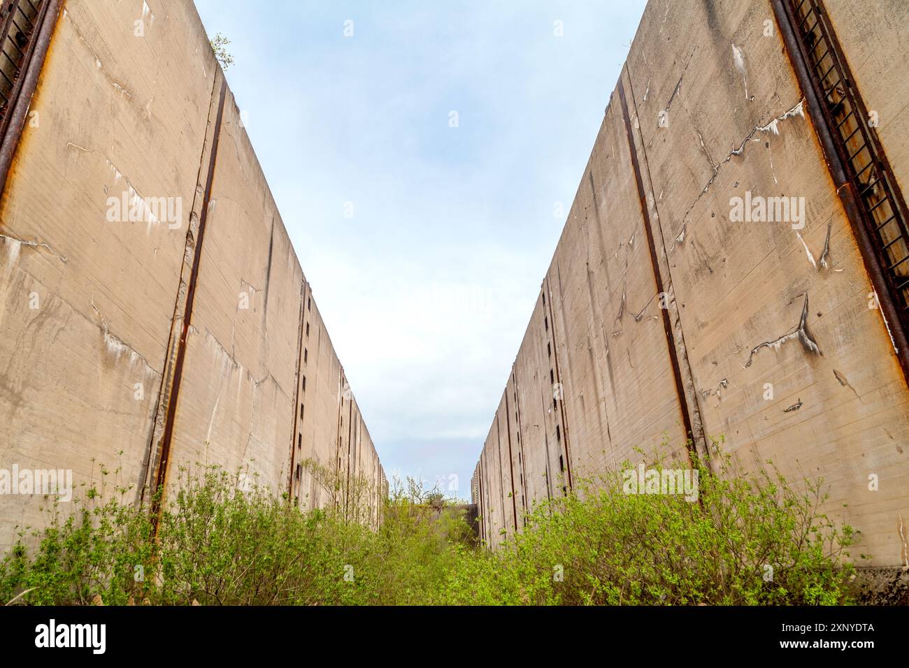 Wüstenneutzsch, Schleusenruine, Deutschland Stockfoto