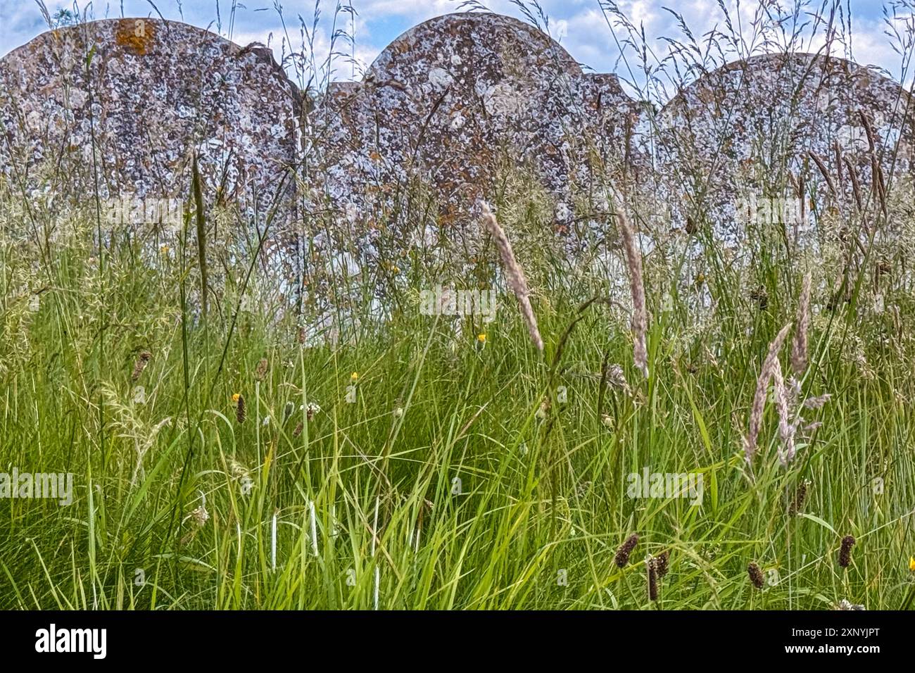 Stillleben zeigt alte, nicht identifizierbare Steingrabmarkierungen, die auf einem alten Friedhof in der englischen Landschaft zwischen hohem Gras sitzen. Stockfoto