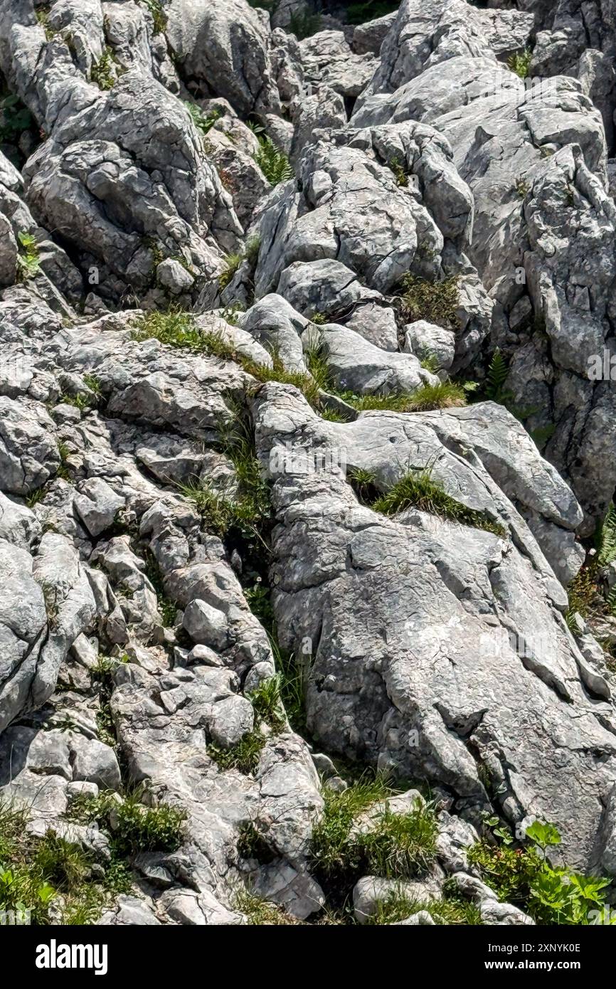 Die vertikale Aufnahme zeigt interessante zerklüftete Felsformationen in den Bayerischen Alpen. Stockfoto