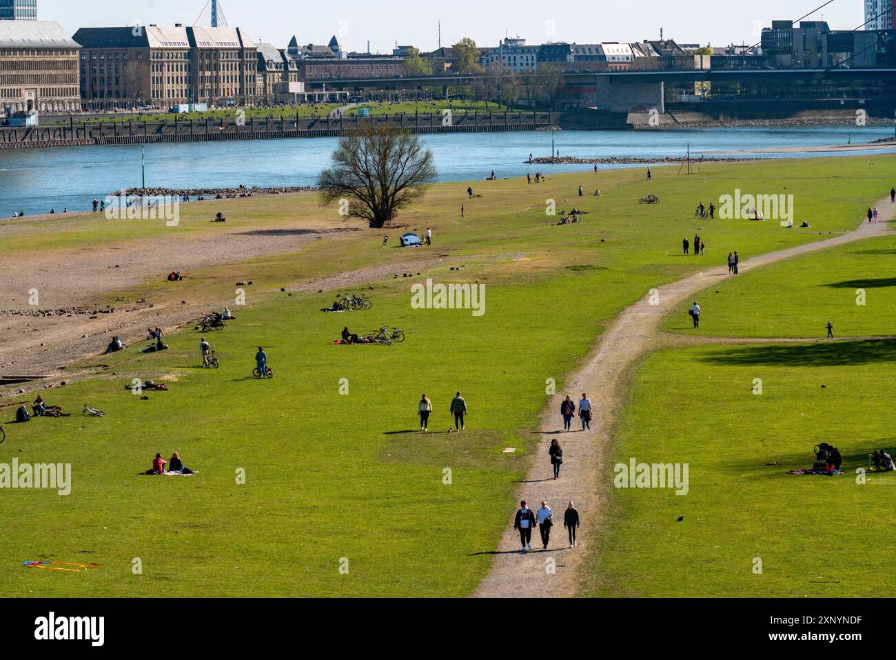Düsseldorf am Rhein während der Coronakrise werden die Kontaktverbote, Distanz weitgehend beobachtet, trotz vieler Wanderer im schönen Frühling Stockfoto