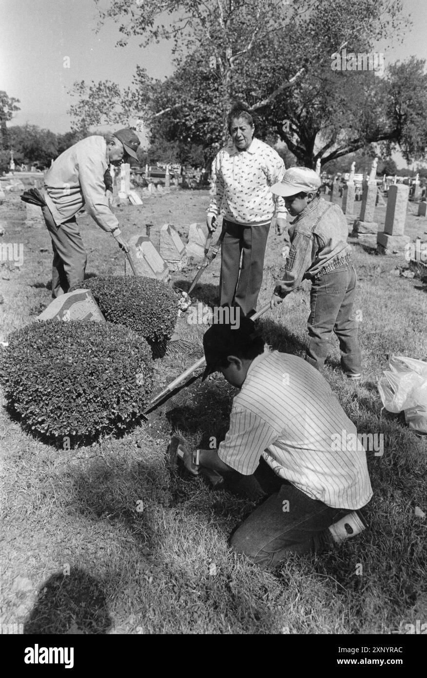San Antonio Texas USA, 2. November 1992: Während der jährlichen Gedenkfeier zum „Day of the Dead“ werden die spanischen Familienmitglieder die Landschaft rund um das Grab ihrer Liebsten auf dem San Jose Cemetery Nr. 1 aufpeppen. ©Bob Daemmrich Stockfoto