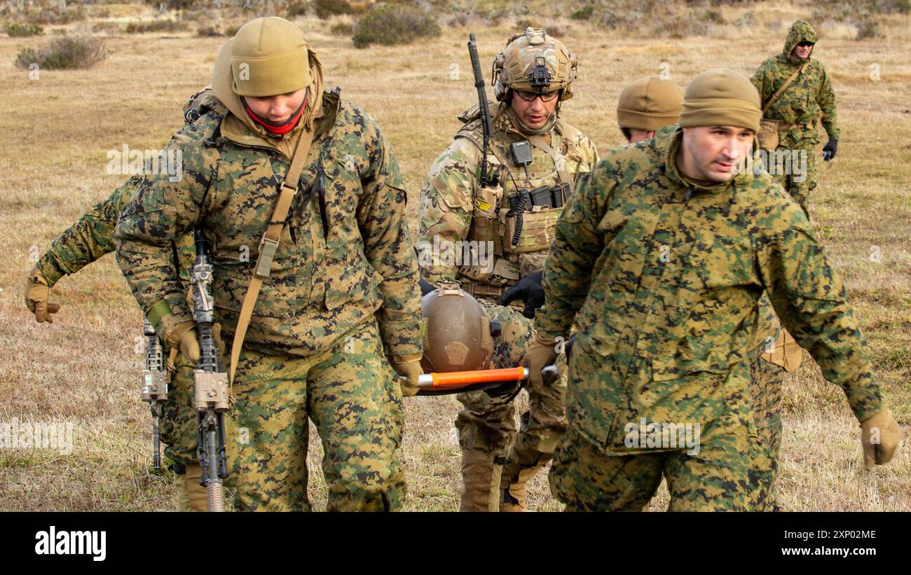 Infanteria de Marina Chile (chilenisches Marine Corps) Teniente (Leutnant) Fernando Gomez fordert am 24. Juli 2024 eine simulierte Evakuierung von Toten in Puerta Harris, Chile. US-amerikanische und chilenische Marinesoldaten führten Schulungen durch, um das Kaltwetter-Langentraining, Bergsteigen und Habitatbau zu umfassen, um das Feldgeschehen zu verbessern, die kombinierten Task Force-Operationen zu verbessern und das Verständnis der wechselseitigen Taktiken, Techniken und Verfahren für kaltes Wetter zu verbessern, um eine sichere, freie und wohlhabende westliche Hemisphäre zu unterstützen. (Foto des U.S. Marine Corps von Sgt. Gabriel Durand) Stockfoto