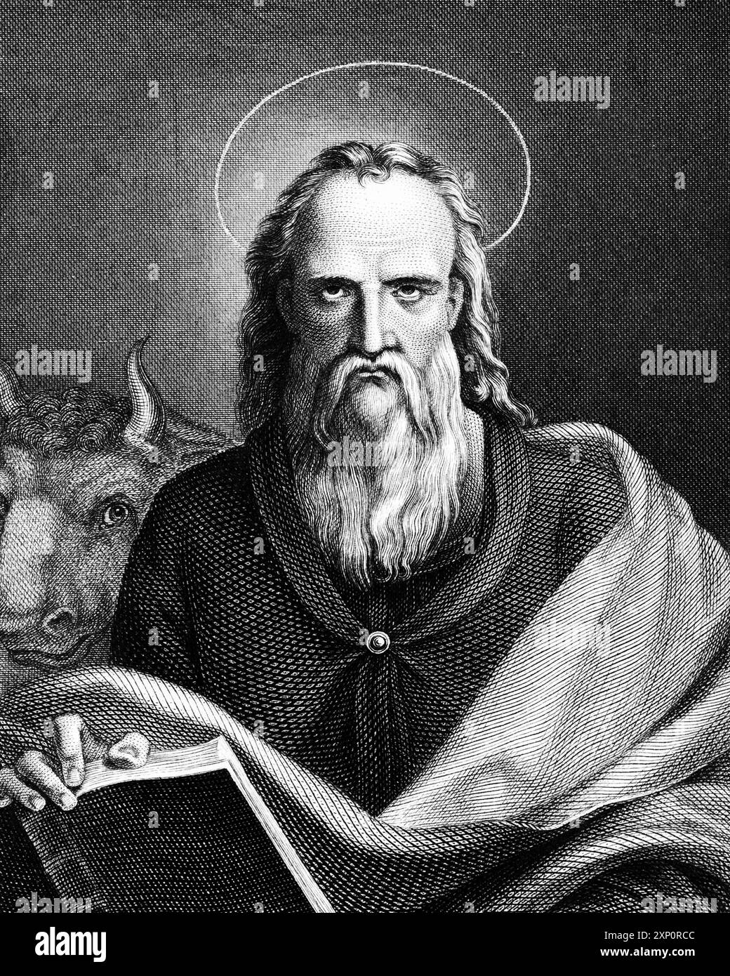 Porträt von St. Lucas, St. Lukas dem Evangelisten, Halo, Ochsen, Buch, Bibel, historische Abbildung 1854 Stockfoto