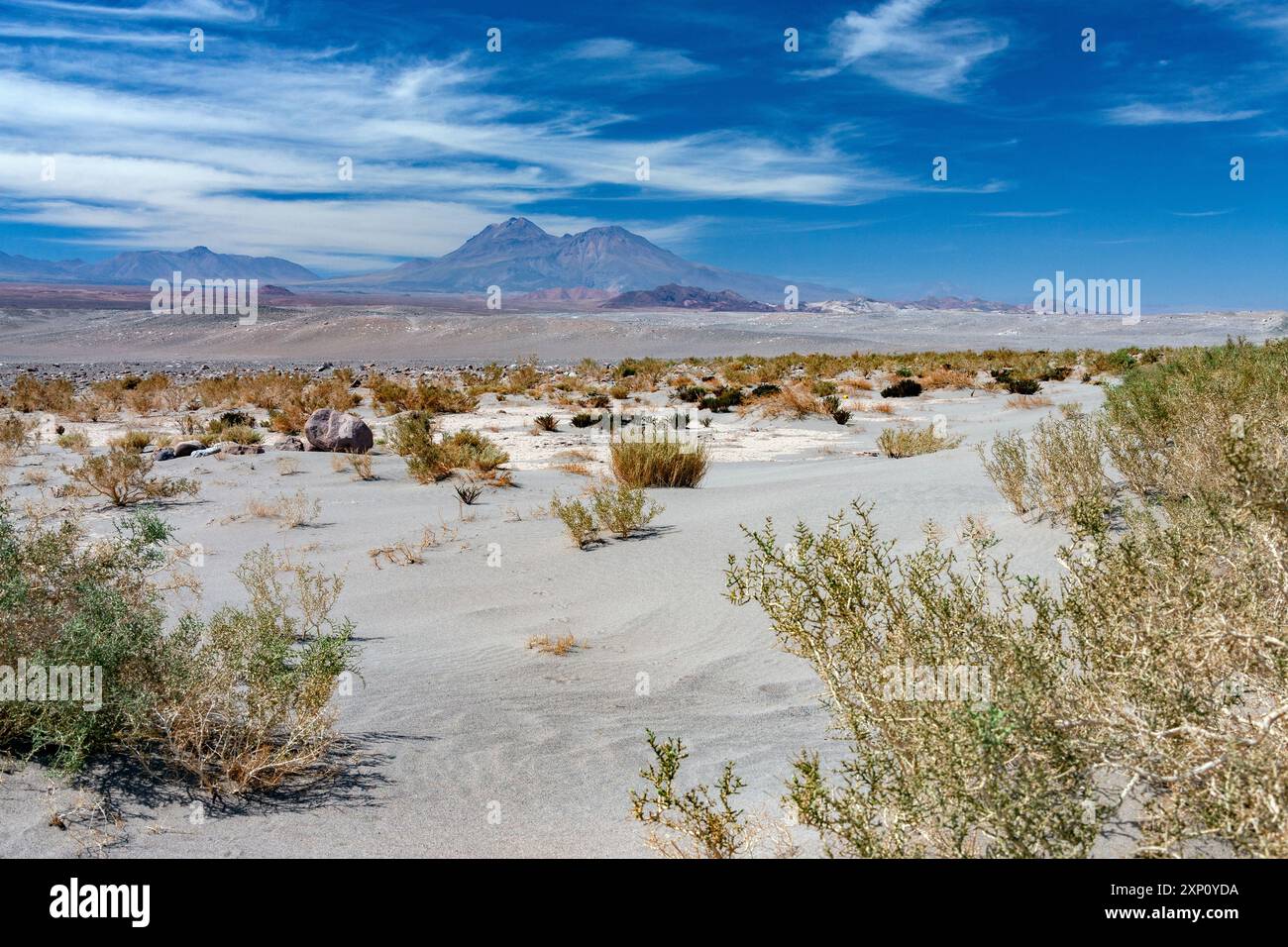 Atacama-Wüste im Norden Chiles. Dieses Wüstenplateau erstreckt sich über einen 1.600 Kilometer langen Landstreifen westlich der Anden. Stockfoto