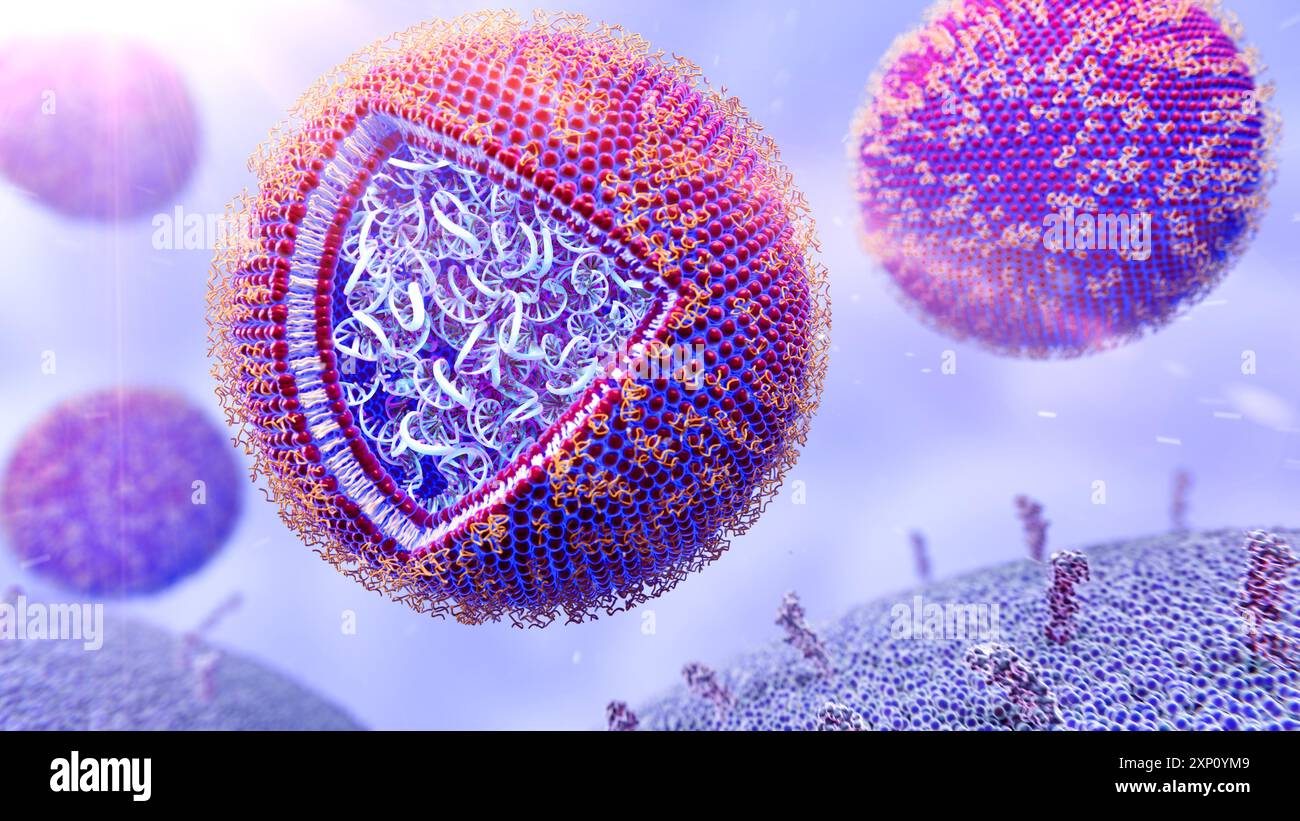 Illustration von Nanopartikeln, die mRNA (Botenstoff Ribonukleinsäure) enthalten, die zu einer effektiven Impfstrategie gegen Krebserkrankungen werden könnten. Die Liposomen in dieser Abbildung sind kugelförmige Vesikel mit einer zweischichtigen Struktur, die therapeutische Wirkstoffe durch biologische Membranen transportieren können, ein Konzept, das in der Nanotechnologie und Pharmakologie weit verbreitet ist. Stockfoto