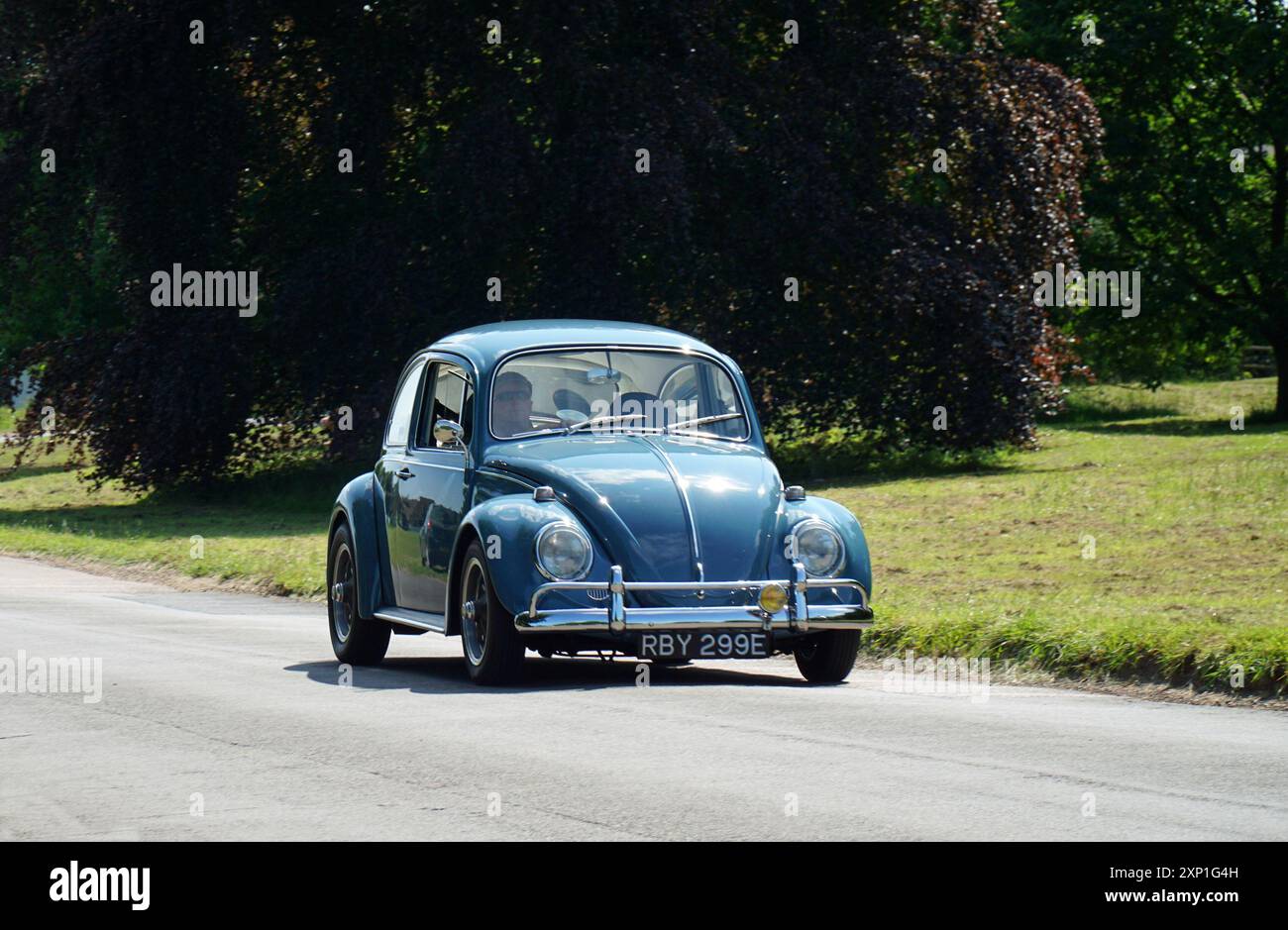 Klassischer blauer Volkswagen Käfer auf der Landstraße Stockfoto