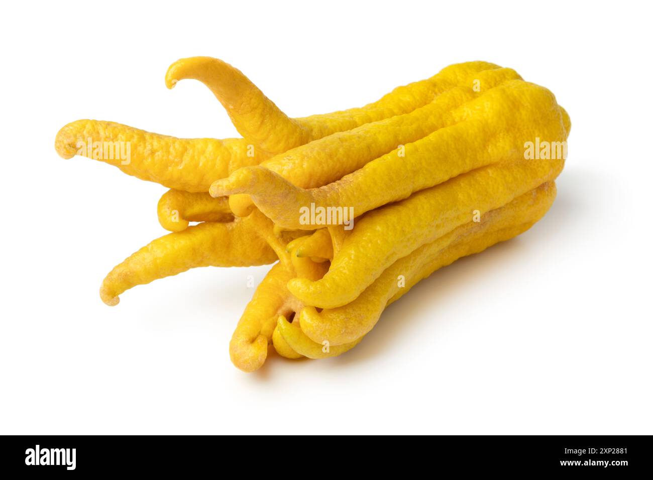 Einzelne reife Buddhas Finger, Zitrus Medica, isoliert auf weißem Hintergrund Stockfoto