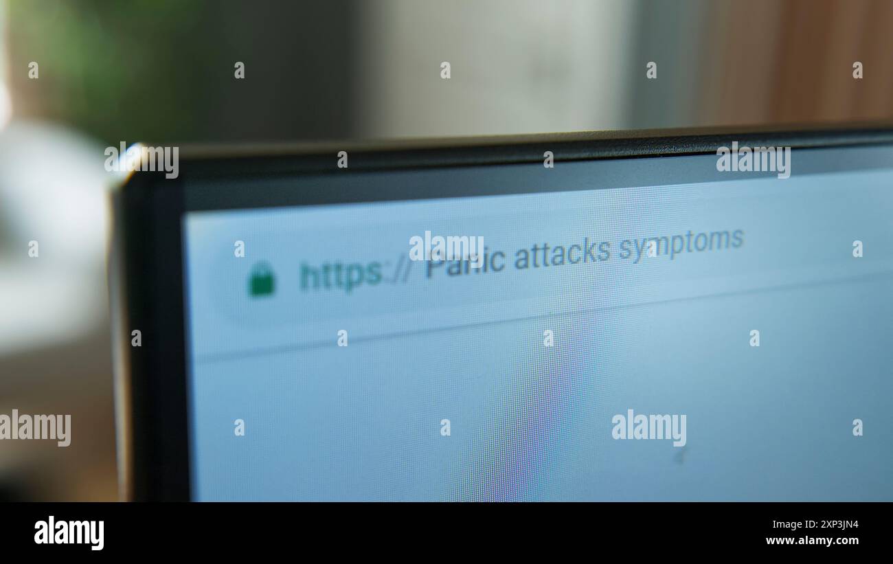 Eine Nahaufnahme eines Computermonitors, der einen Webbrowser mit der Suchabfrage „Panikattacken-Symptome“ in der Adressleiste anzeigt. Die Nutzung von Online-Res Stockfoto