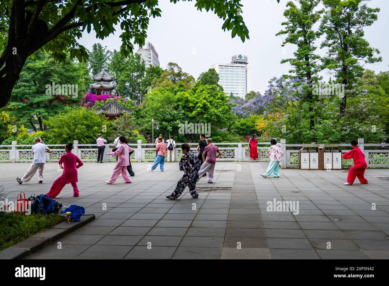 Senioren trainieren Tai Chi am Morgen in einem öffentlichen Park. Chengdu, Sichuan, China. Stockfoto