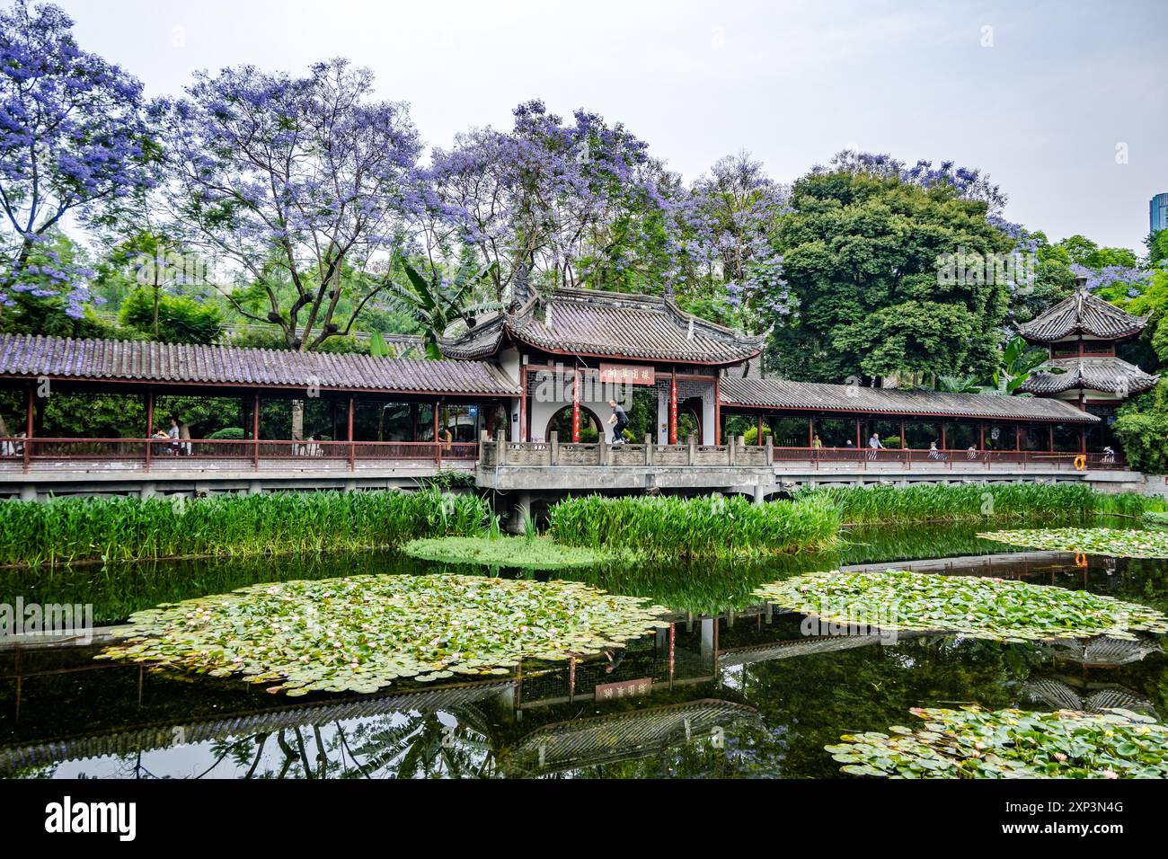 Galerie im traditionellen Stil entlang eines Teichs in einem öffentlichen Park. Chengdu, Sichuan, China. Stockfoto