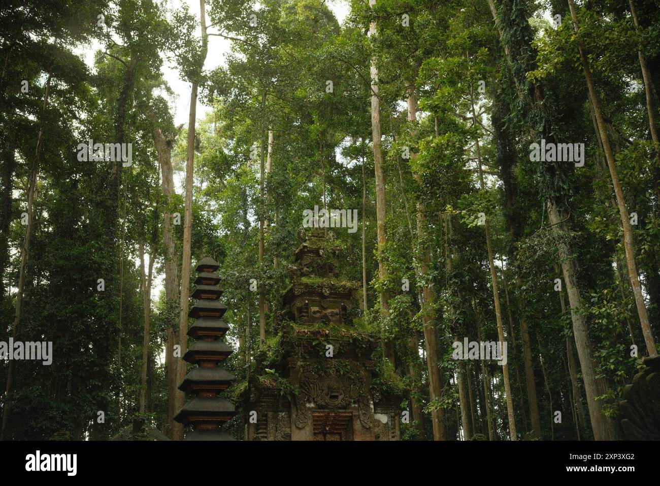 Ubud, Bali, Indonesien - 9. Juli 2024: Ethnische kulturelle alte moosige Ruinentempel an einem heiligen Ort der Hindus im Regenwald Stockfoto