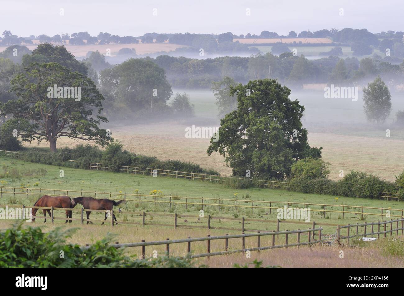 Stour Valley westlich von Nayland, Suffolk, England, Großbritannien Stockfoto