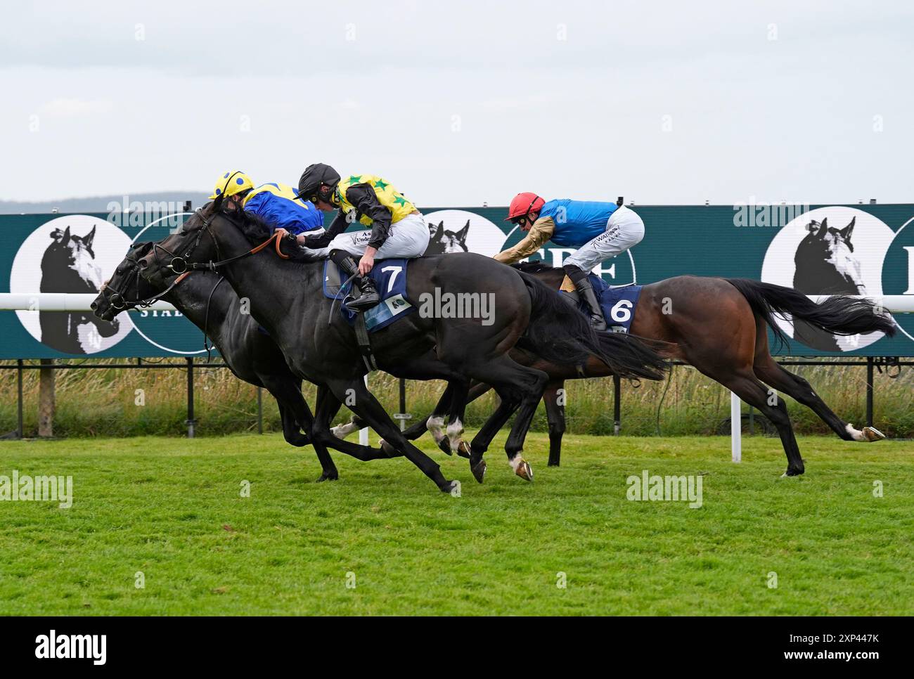 Hott Shott, geritten von Rossa Ryan (Mitte) und Spell Master, geritten von Oisin Murphy (links), beenden in toter Hitze während der British Hallion Studs EBF Maiden Stakes am fünften Tag des Qatar Goodwood Festivals auf der Goodwood Racecourse in Chichester. Bilddatum: Samstag, 3. August 2024. Stockfoto