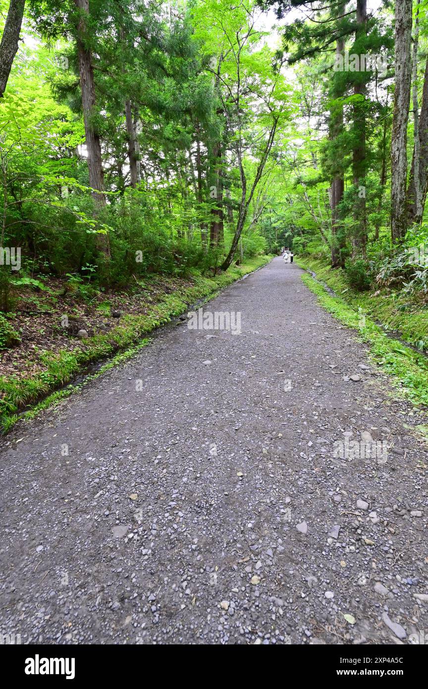 Malerischer Weg zum Togakushi-Schrein Okusha in der Präfektur Nagano, Japan Stockfoto