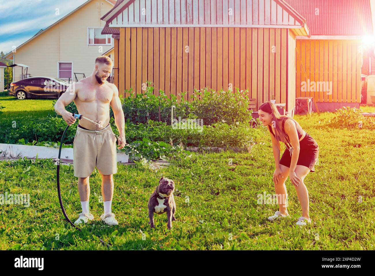 Ein amerikanischer Tyrannehund trinkt Wasser aus dem Gartenschlauch im Hinterhof des Landhauses und unterhält seine jungen Besitzer, Mann und Frau in ihren 20ern Stockfoto