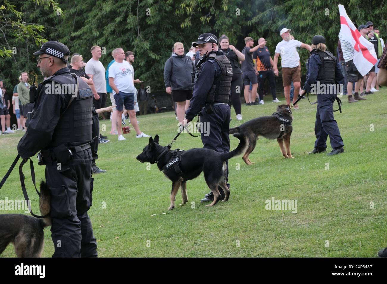 Bristol, Großbritannien. August 2024. Viele Polica Hunde waren vorhanden. In Bristol ist eine große Polizeioperation im Gange, da Stop the Boats und Flüchtlinge willkommene Demonstranten sich im Stadtzentrum von Bristol treffen. Quelle: JMF News/Alamy Live News Stockfoto