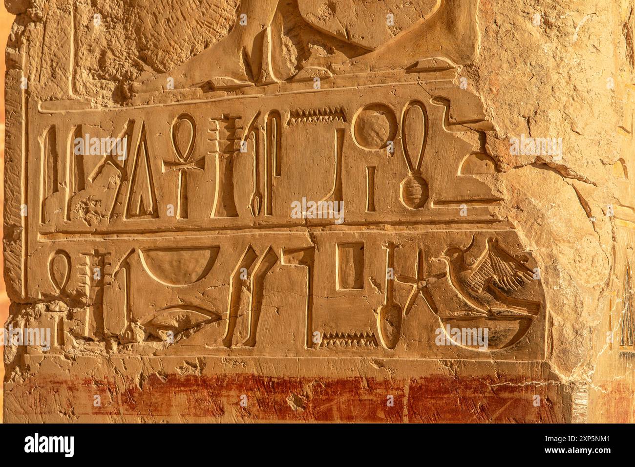 Bewundern Sie die komplizierten Hieroglyphen, die die Wände des Tempels der Hatschepsut bedecken. Diese antiken Schriften bieten ein Fenster in das Leben und die Zeit. Stockfoto