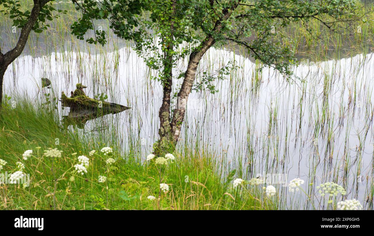 Ein Ausflug in das malerische Fjordland rund um Bergen in Westnorwegen Stockfoto