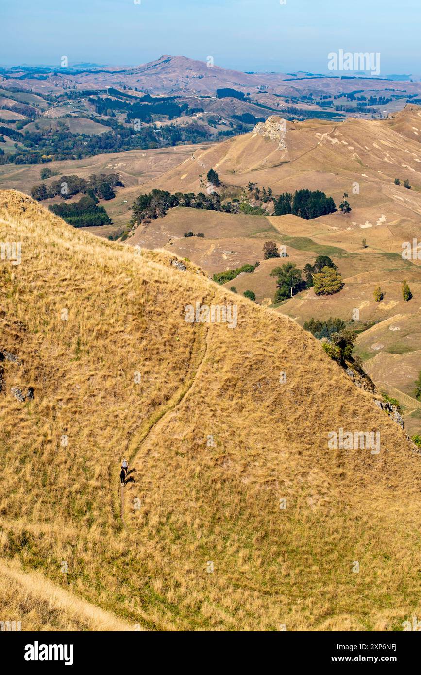 Menschen, die alleine auf einem der vielen Wanderwege rund um und unter dem Te Mata Peak in der Nähe der Hawkes Bay auf der Nordinsel Neuseelands wandern und wandern Stockfoto