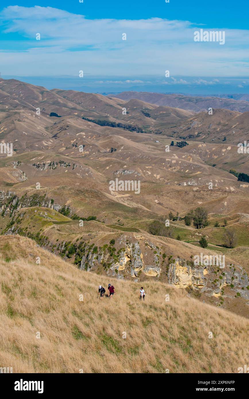 Menschen, die alleine auf einem der vielen Wanderwege rund um und unter dem Te Mata Peak in der Nähe der Hawkes Bay auf der Nordinsel Neuseelands wandern und wandern Stockfoto