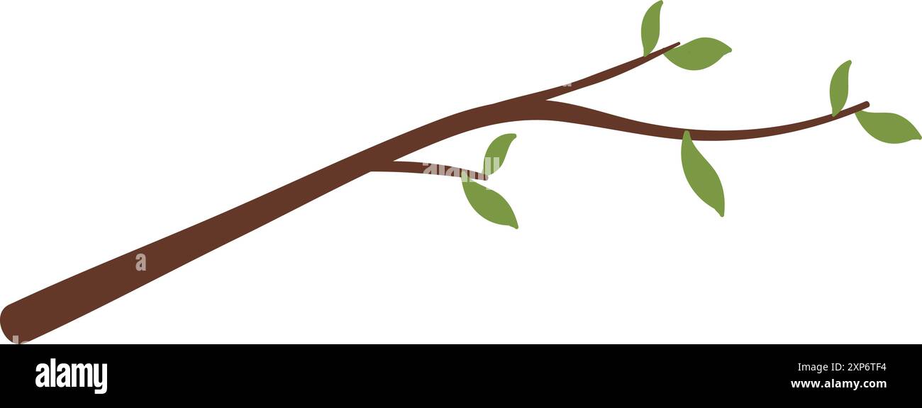 Pflanzenzweig mit grünen Blättern. Symbol für die Natur der Farbe Stock Vektor