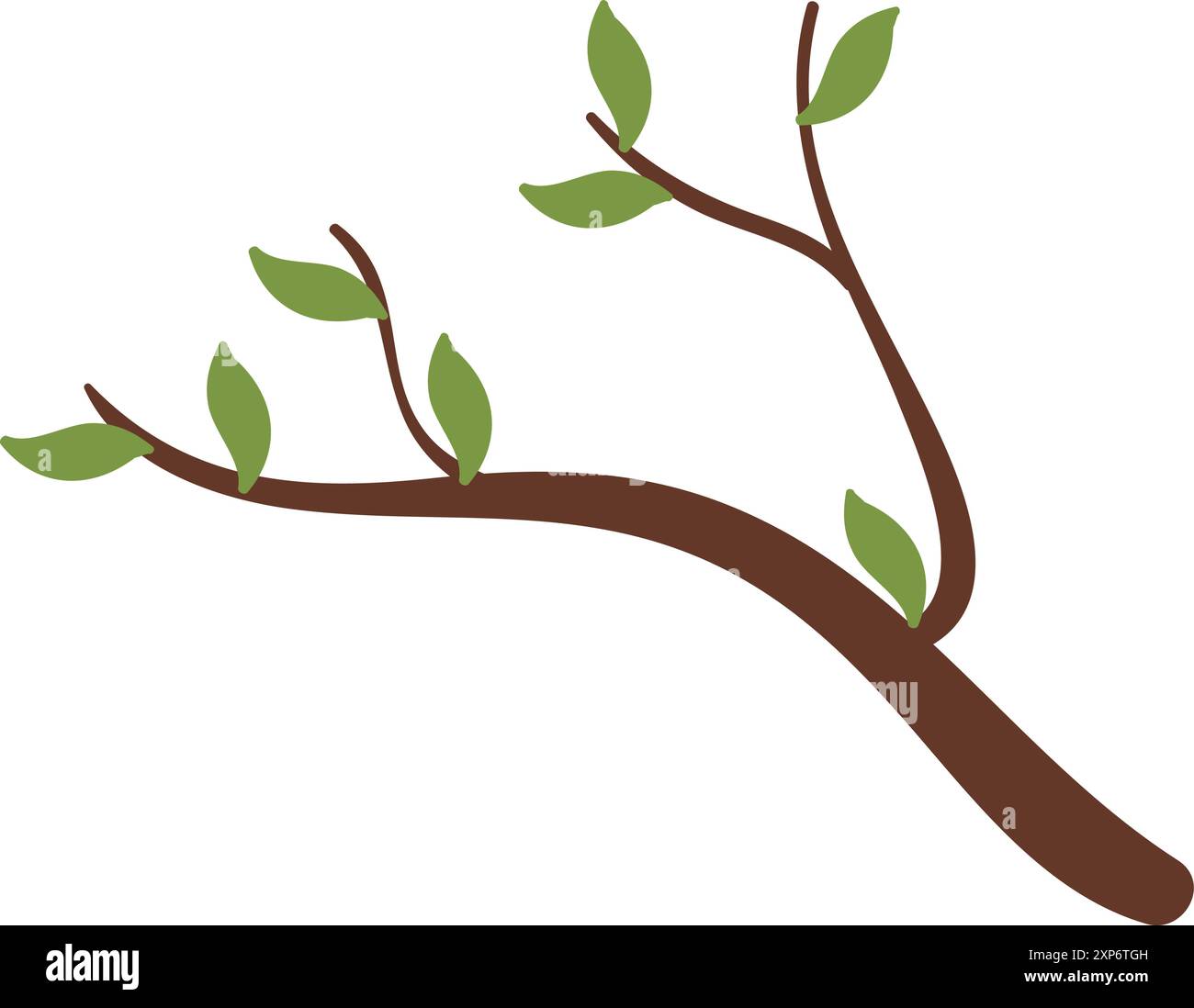 Baumzweig. Farbsymbol Natur. Frühlingspflanze Stock Vektor