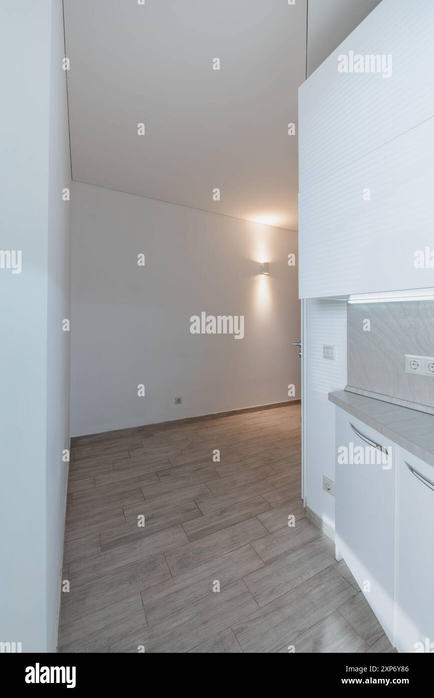 Eingangsbereich Zu Hause. Innenraum. Hölzerne Außentür, Brauner Boden. Minimalismus. LED-Leuchte. Weitwinkel Stockfoto