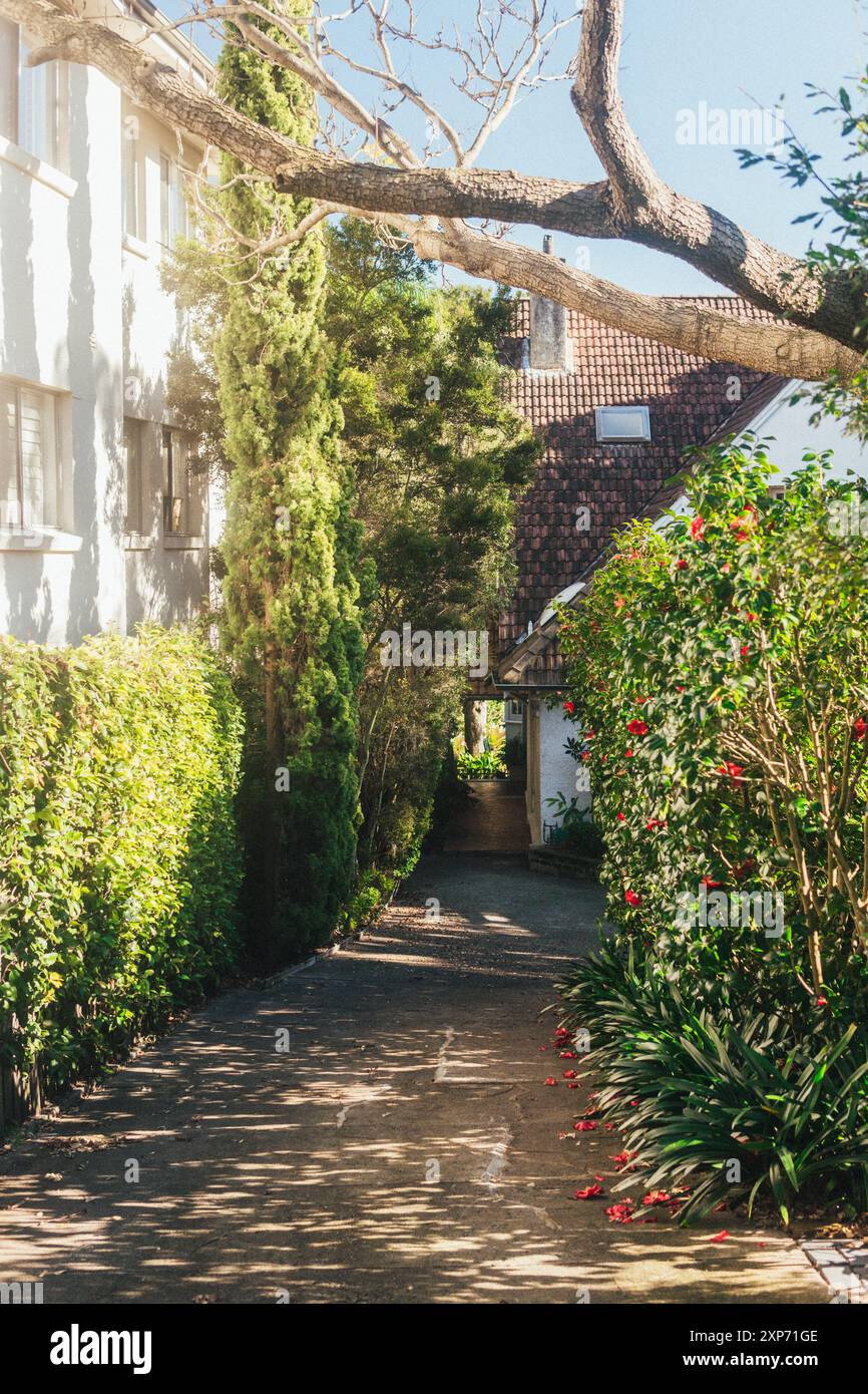 Rose Bay Sydney Stockfoto
