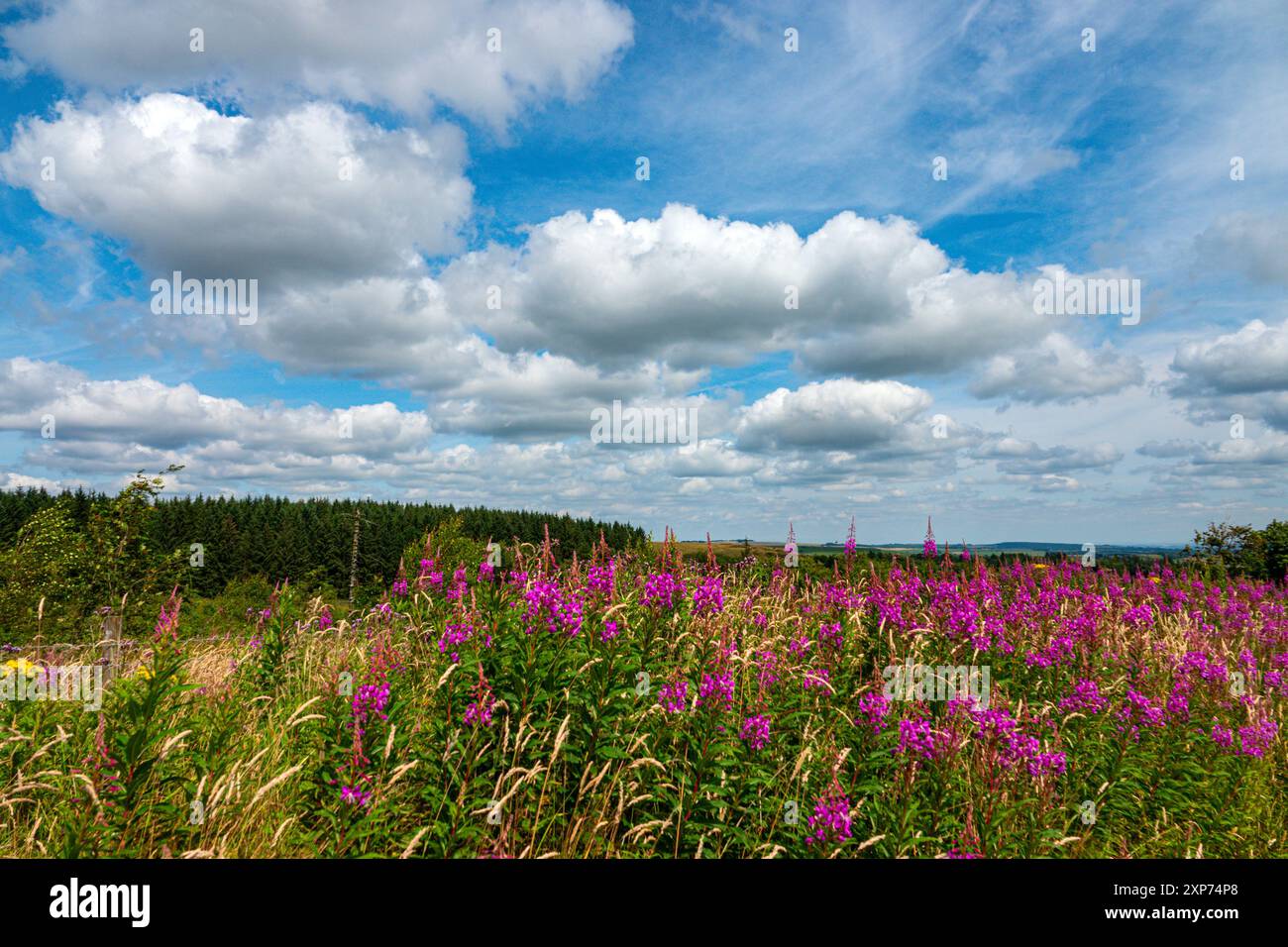 The Peak District, National Park, The Peaks, Derbyshire, Großbritannien Stockfoto