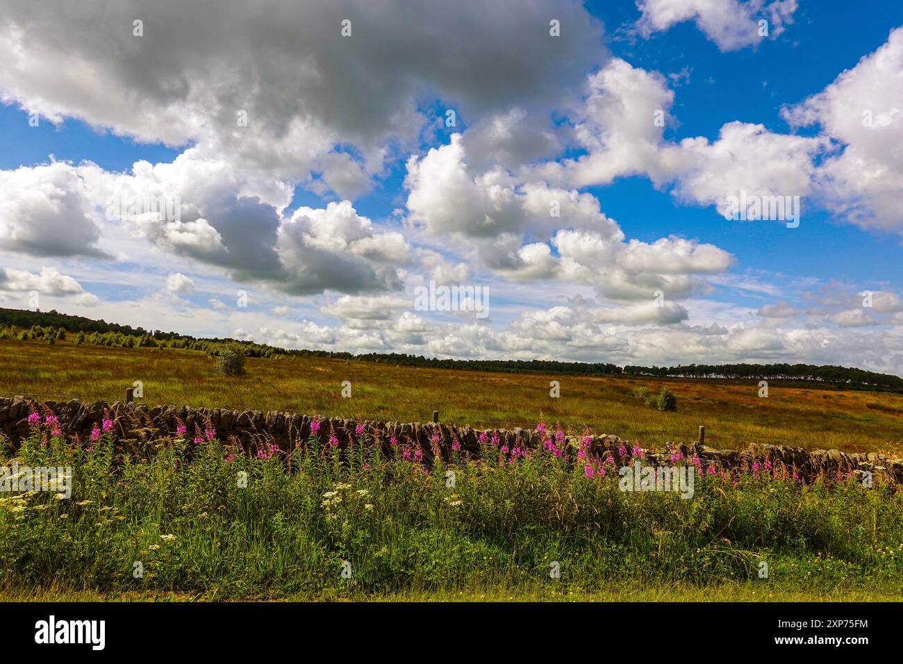 The Peak District, National Park, The Peaks, Derbyshire, Großbritannien Stockfoto