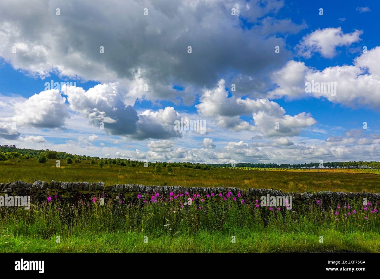 The Peak District, National Park, The Peaks, Derbyshire, Großbritannien Stockfoto
