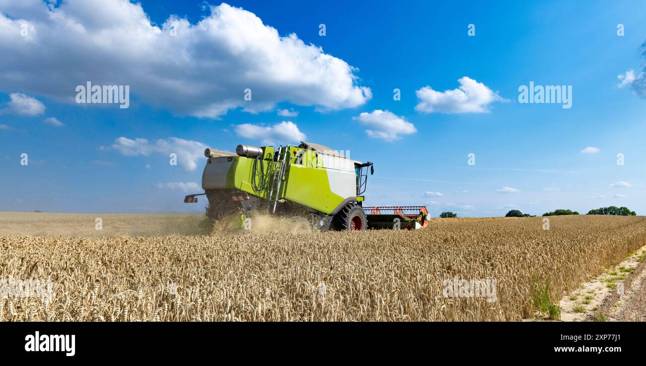 Mähdrescher im Kornfeld - 1815 Stockfoto