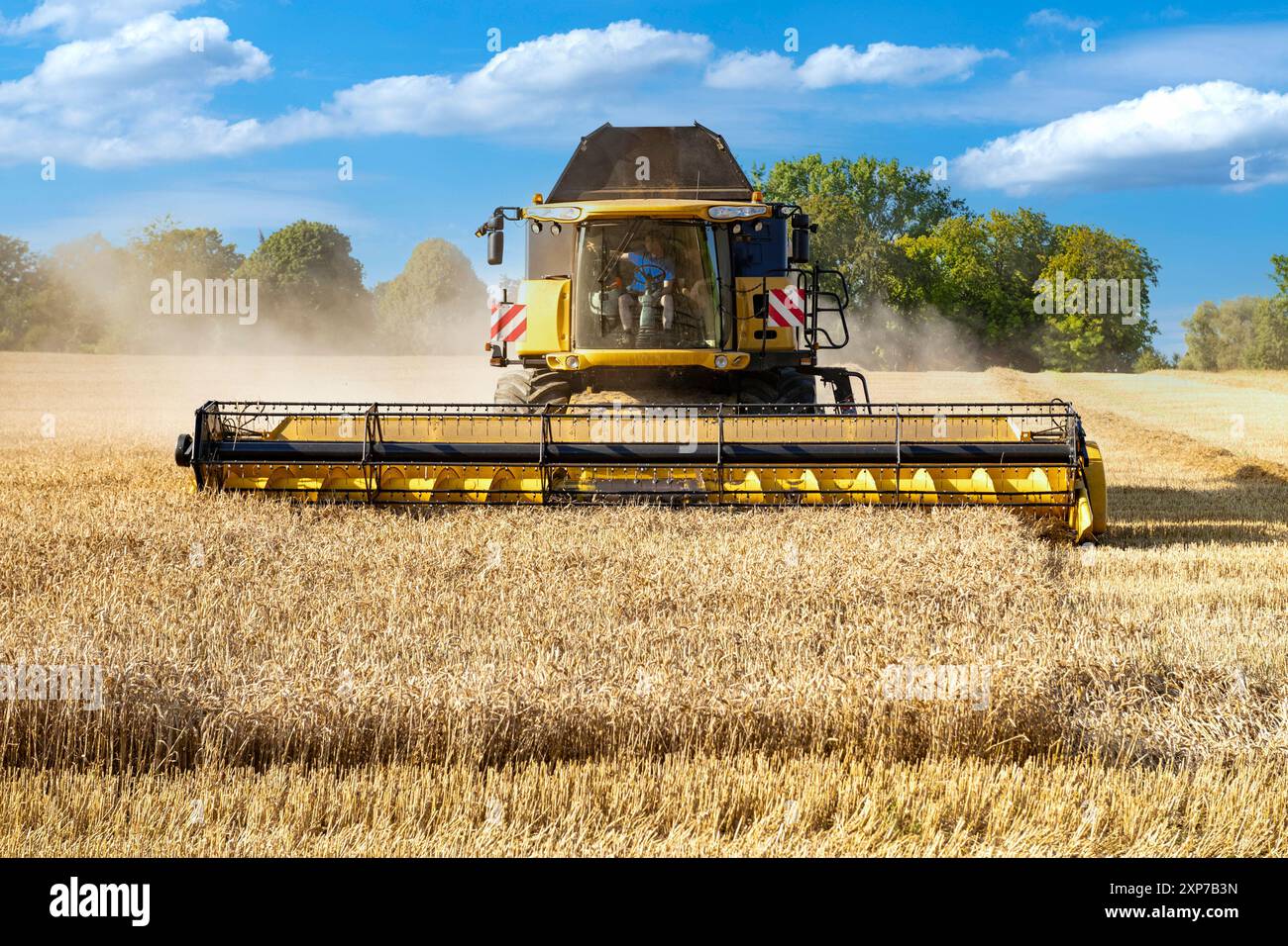 Mähdrescher im Kornfeld - 17302 Stockfoto