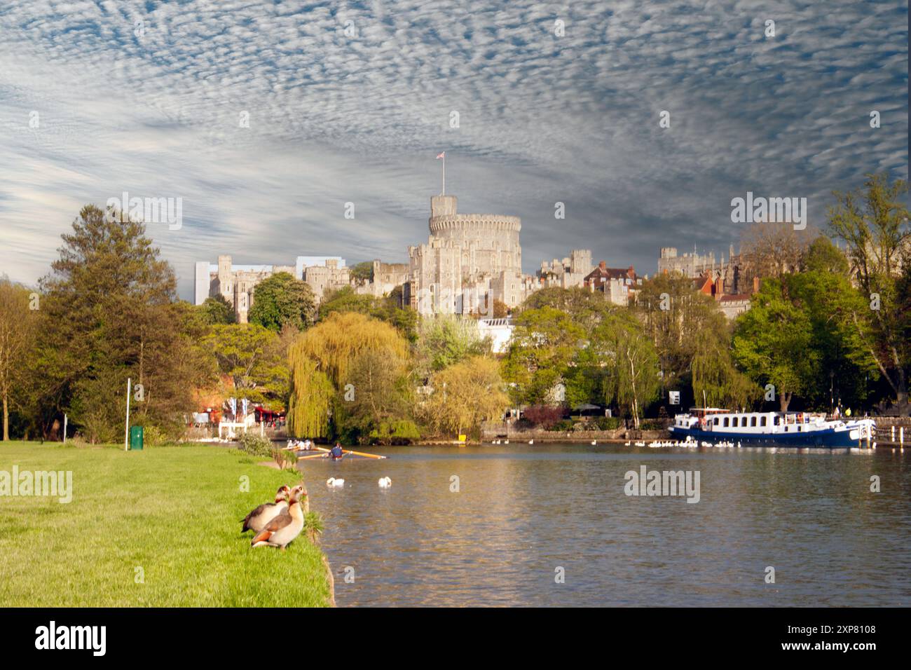 Windsor Castle und die Themse, Berkshire, Großbritannien Stockfoto