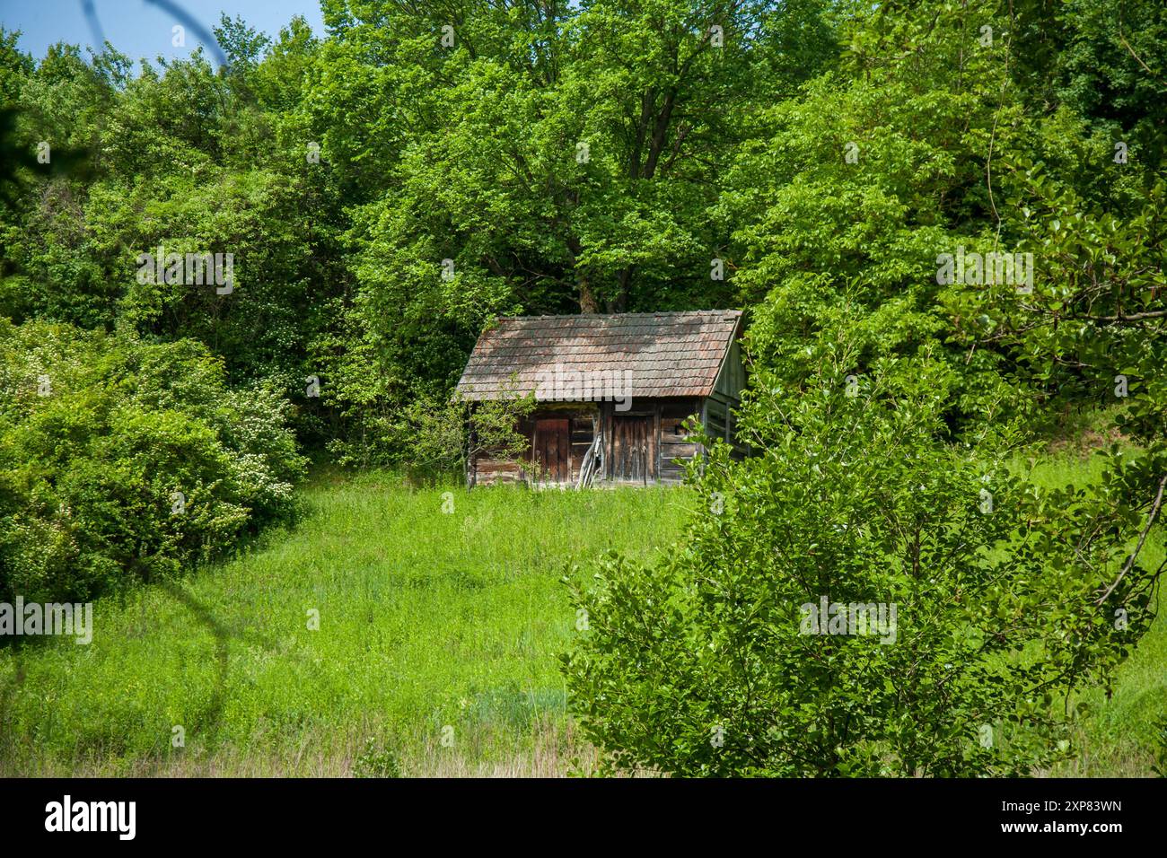 Eine malerische Holzhütte steht inmitten von üppig grünem Laub, umgeben von einem dichten Wald, mit einer ruhigen und rustikalen Atmosphäre Stockfoto