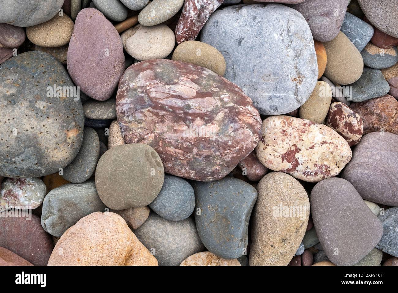 Farbenfrohe Kieselsteine am Penally Beach in der Nähe von Tenby Stockfoto