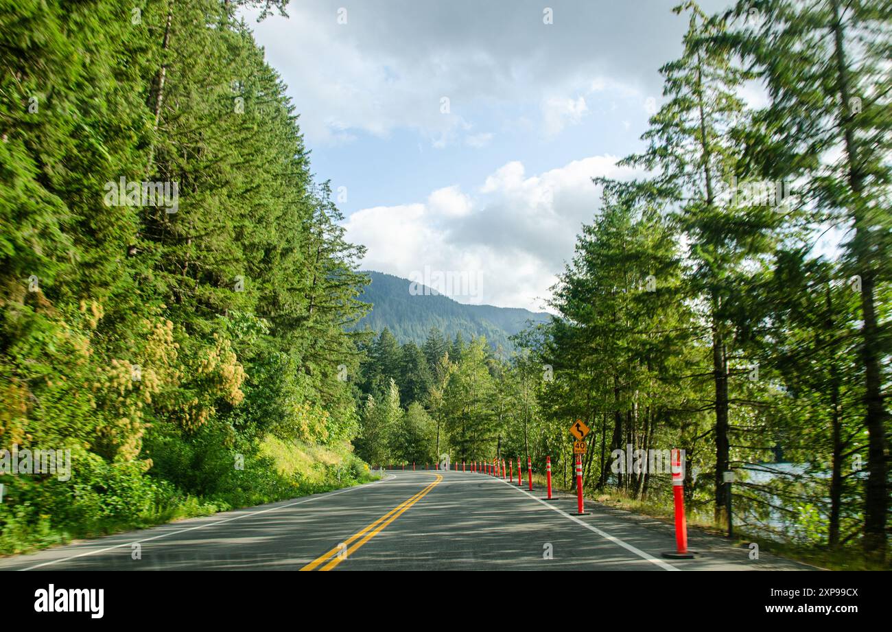 Cultus Lake Park Road gesäumt von Kiefern in Chilliwack, Fraser Valley, British Columbia, Kanada Stockfoto