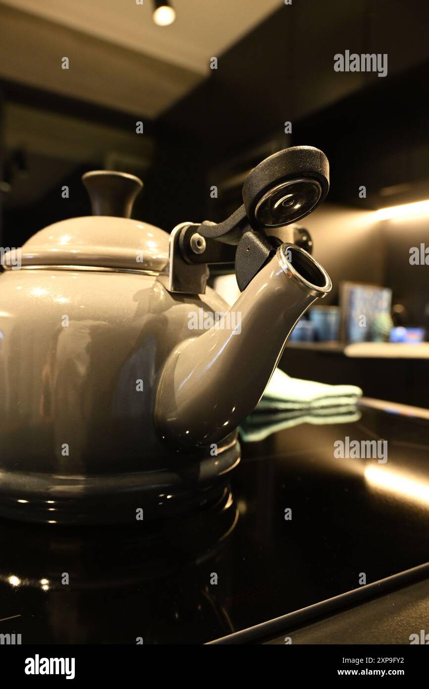 Teekessel Le Creuset Stockfoto