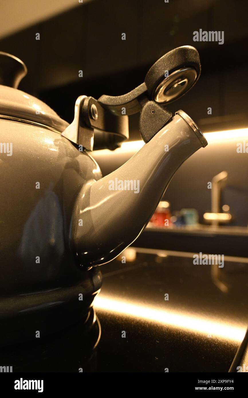 Teekessel Le Creuset Stockfoto