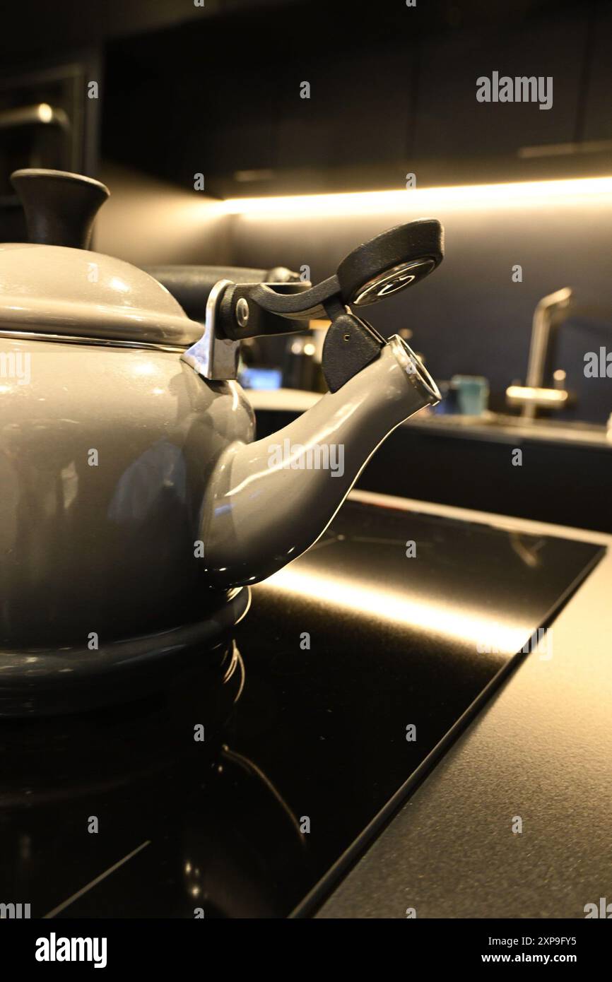 Teekessel Le Creuset Stockfoto