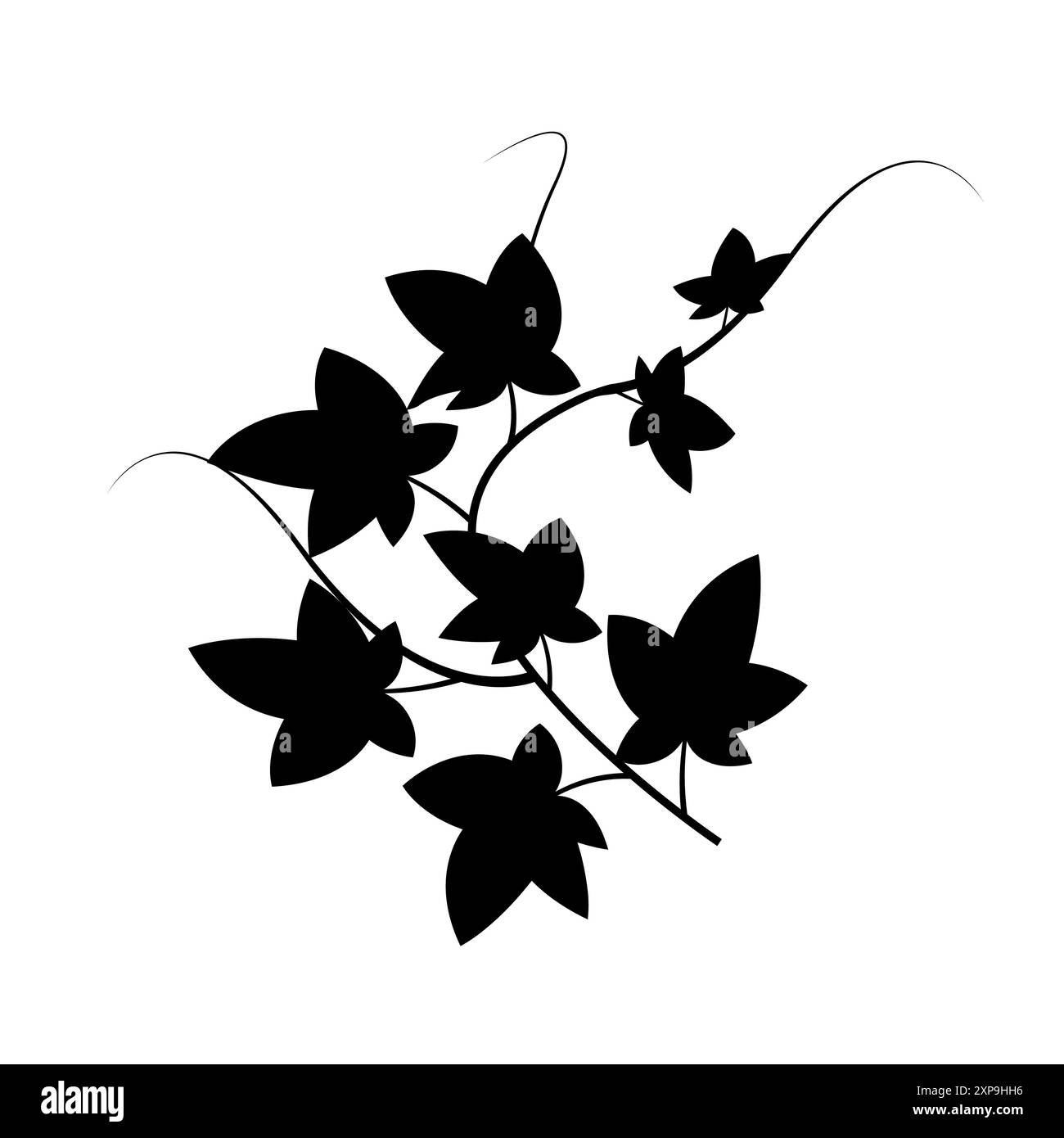 Ivy hinterlässt die Silhouette. Botanischer Vektor. Schwarz-weiß. Naturelement. Stock Vektor Ivy hinterlässt die Silhouette. Botanischer Vektor. Schwarz-weiß. Naturelement. Stock Vektor