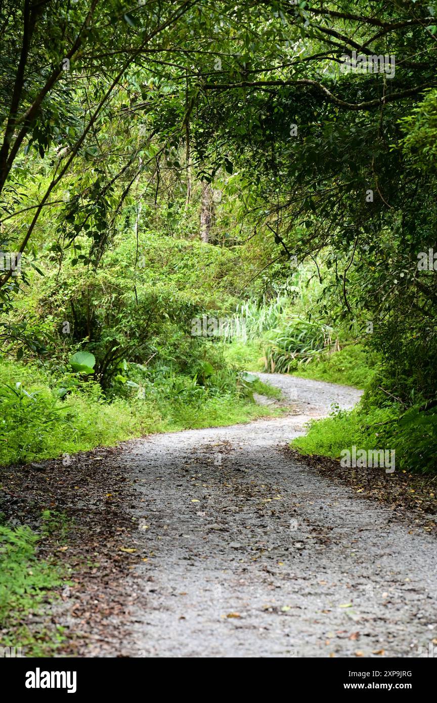 Capture Green Urban Trails werden zu einer Top-Wahl für Stadtbewohner, die Freizeit und Bewegung suchen, und bieten eine natürliche Zuflucht und gesundheitliche Vorteile. Stockfoto